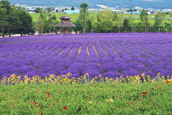 furano japan furano japan
