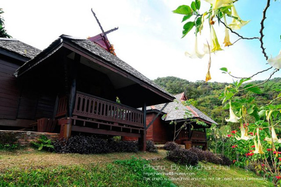 ที่พักดอยแม่สลอง ที่พักดอยแม่สลอง