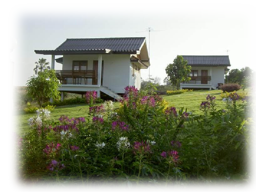 ที่พักวังน้ำเขียว ที่พักวังน้ำเขียว
