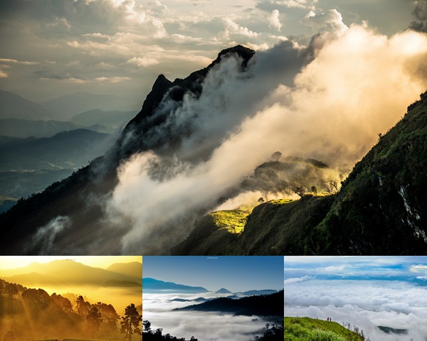 sea of mist sea of mist