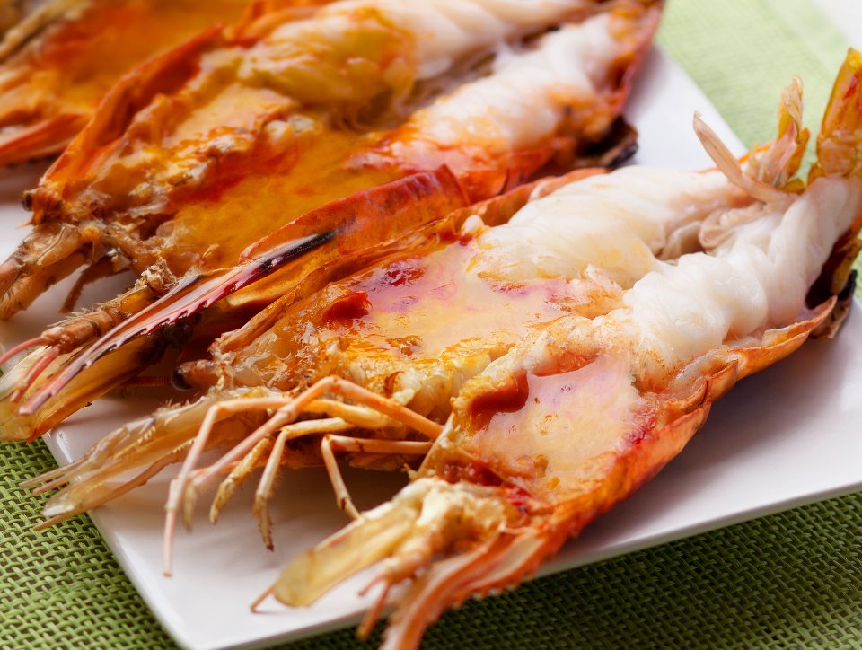 River shrimp River shrimp