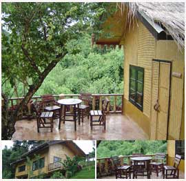 ที่พักดอยแม่สลอง ที่พักดอยแม่สลอง
