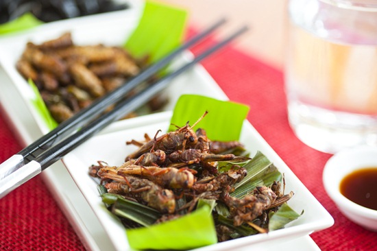 แมลงทอด แมลงทอด