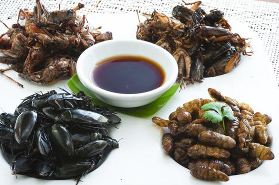 แมลงทอด แมลงทอด