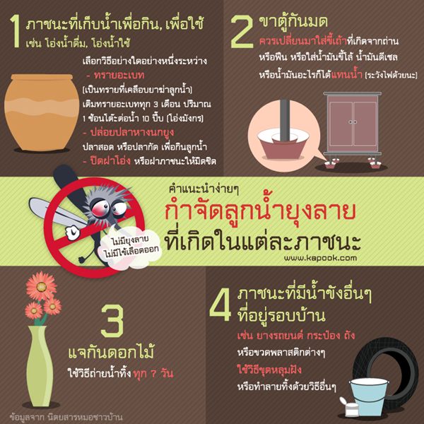ไข้เลือดออก ไข้เลือดออก