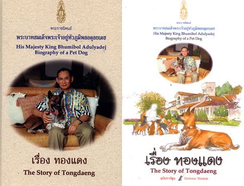 หนังสือ เรื่อง ทองแดง หนังสือ เรื่อง ทองแดง