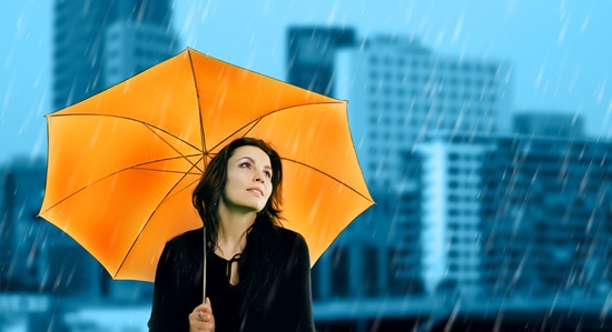 ฝนตก ฝนตก