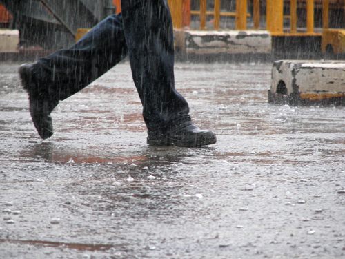 ฝนตก ฝนตก