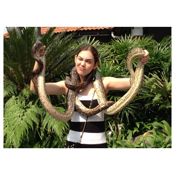 แมท ภีรนีย์