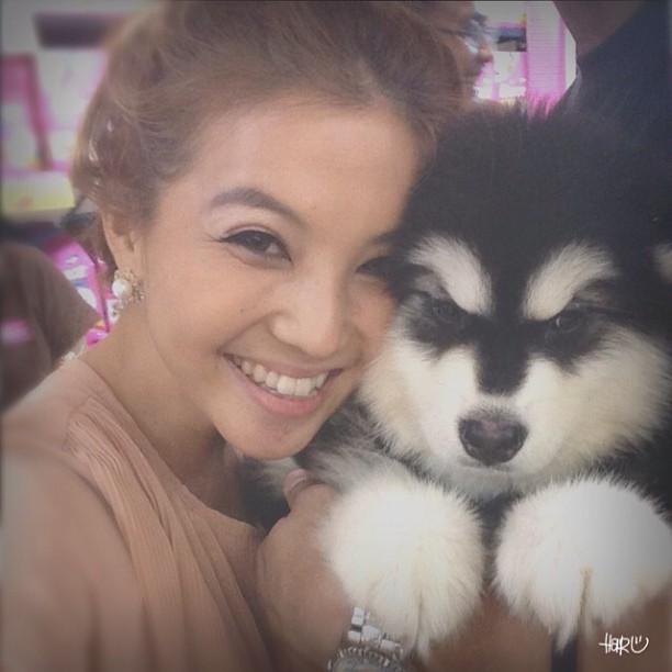 ฮารุ สตอเบอรี่ชีสเค้ก ประวัติ ฮารุ สาวเก่งไซส์เล็ก