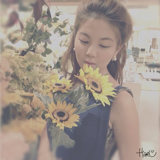 ฮารุ สตอเบอรี่ชีสเค้ก ประวัติ ฮารุ สาวเก่งไซส์เล็ก