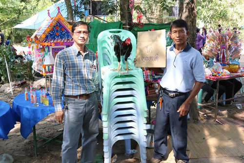 ไก่ชนยอดกตัญญู ไก่ชนยอดกตัญญู