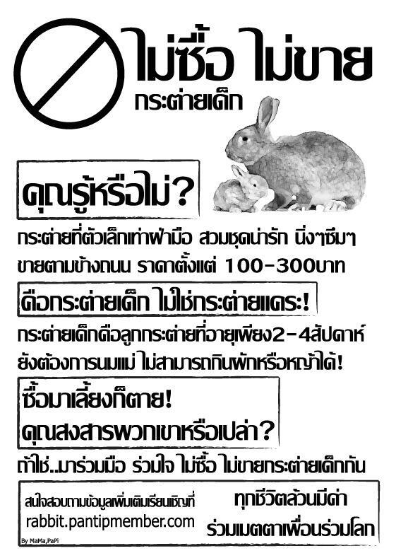 รณรงค์ไม่ซื้อขายกระต่ายเด็ก รณรงค์ไม่ซื้อขายกระต่ายเด็ก