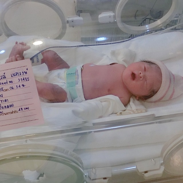 แมลงเมี่ยง คลอดลูก ตั้งชื่อว่า น้องมิณา แมลงเมี่ยง คลอดลูก ตั้งชื่อว่า น้องมิณา