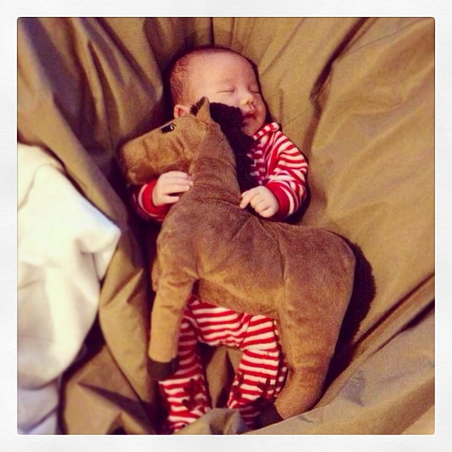 น้องซิดนีย์ - ปุ๊กกี้ ปริศนา น้องซิดนีย์ - ปุ๊กกี้ ปริศนา