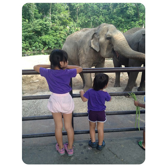 น้องแพรว - น้องภูมิ - คุณแม่ ตุ๊ก ชนกวนันท์ น้องแพรว - น้องภูมิ - คุณแม่ ตุ๊ก ชนกวนันท์