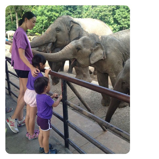 น้องแพรว - น้องภูมิ - คุณแม่ ตุ๊ก ชนกวนันท์ น้องแพรว - น้องภูมิ - คุณแม่ ตุ๊ก ชนกวนันท์