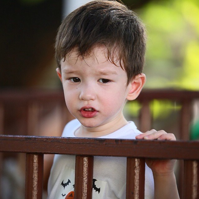 น้องวิน ลูกวิลลี่ เยลหลี น้องวิน ลูกวิลลี่ เยลหลี