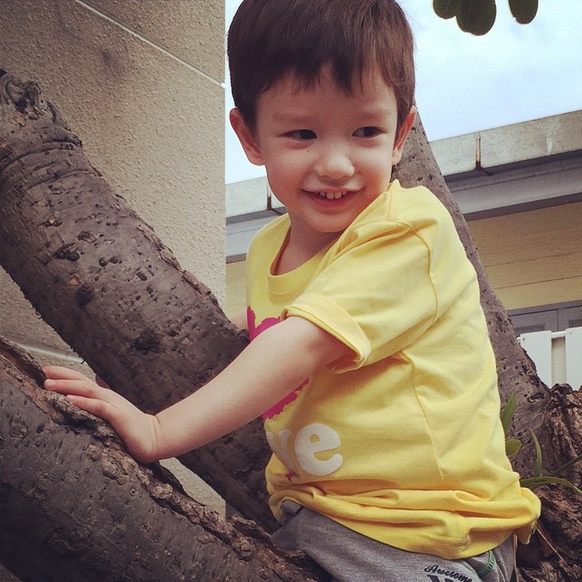 น้องวิน ลูกวิลลี่ เยลหลี น้องวิน ลูกวิลลี่ เยลหลี