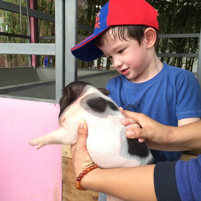 น้องวิน ลูกวิลลี่ เยลหลี น้องวิน ลูกวิลลี่ เยลหลี