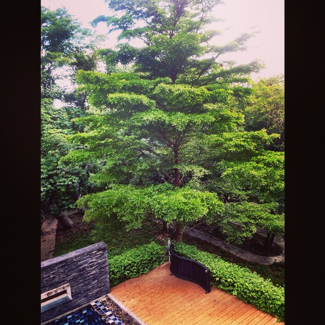 พีเค ปิยะวัฒน์ พีเค ปิยะวัฒน์