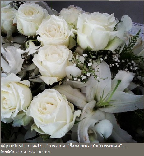 เจนนิเฟอร์ คิ้ม เจนนิเฟอร์ คิ้ม