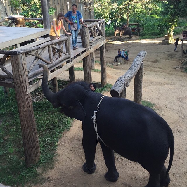 ดีเจภูมิ เนย เนโกะจัมพ์ ดีเจภูมิ เนย เนโกะจัมพ์