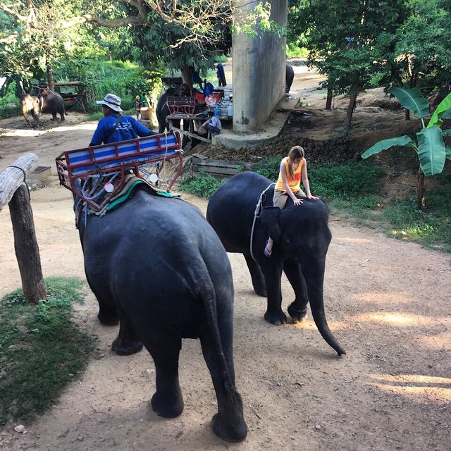 ดีเจภูมิ เนย เนโกะจัมพ์ ดีเจภูมิ เนย เนโกะจัมพ์