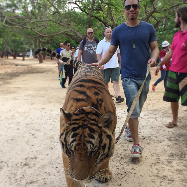 ดีเจภูมิ เนย เนโกะจัมพ์ ดีเจภูมิ เนย เนโกะจัมพ์