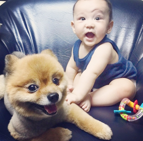 น้องวิลลูกชายจอห์น วิญญู น้องวิลลูกชายจอห์น วิญญู