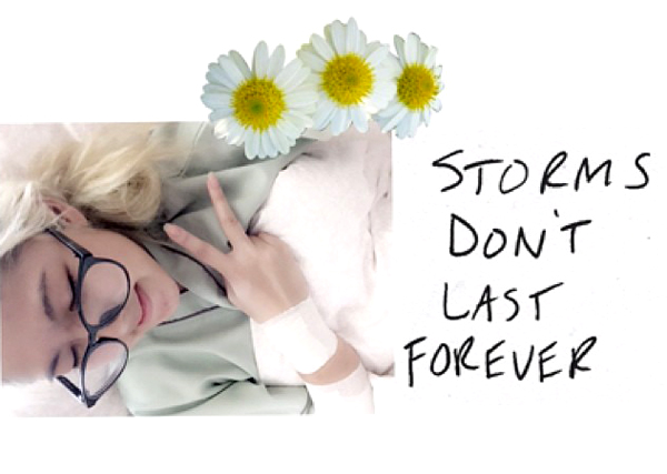 หวาย กามิกาเซ่ หวาย กามิกาเซ่