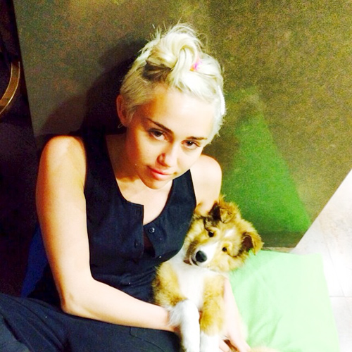 ไมลีย์ ไซรัส ไมลีย์ ไซรัส