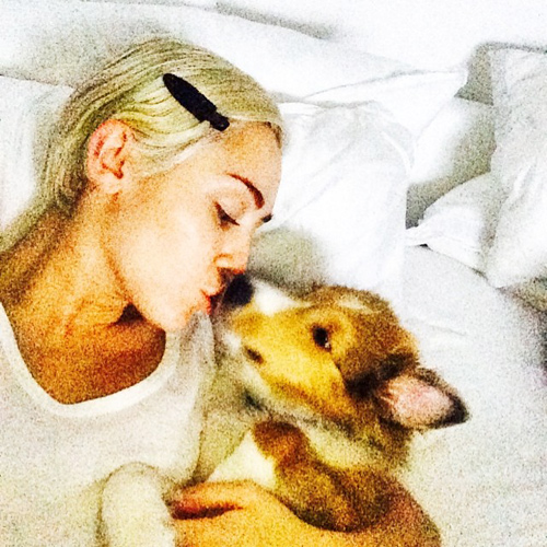 ไมลีย์ ไซรัส ไมลีย์ ไซรัส