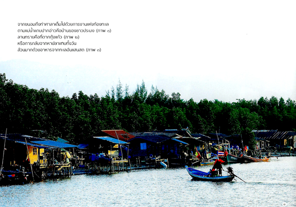ขนอม นครศรีธรรมราช ขนอม นครศรีธรรมราช
