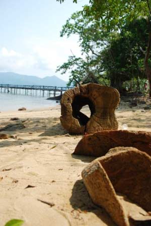 เกาะเหลายา