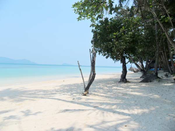 เกาะเหลายา