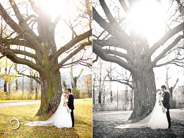 แต่งงาน