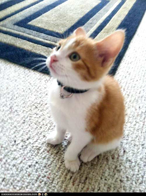 ความรัก แต่งงาน