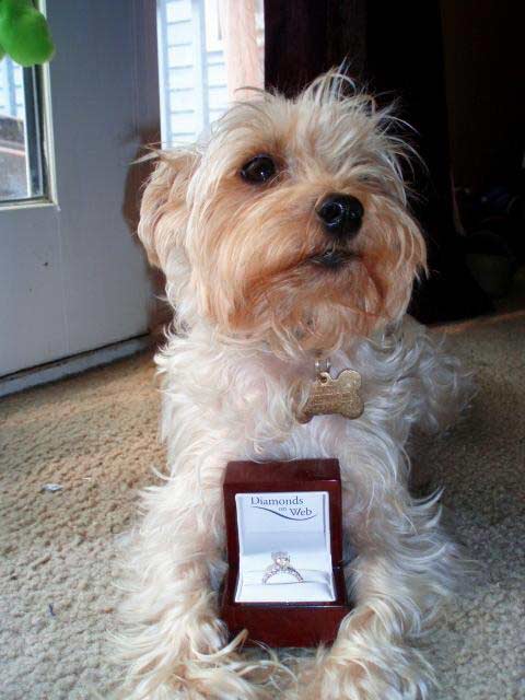 ความรัก แต่งงาน