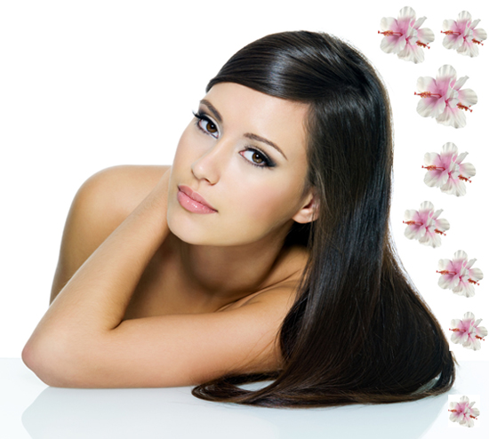 แชมพูดอกชบา แชมพูดอกชบา