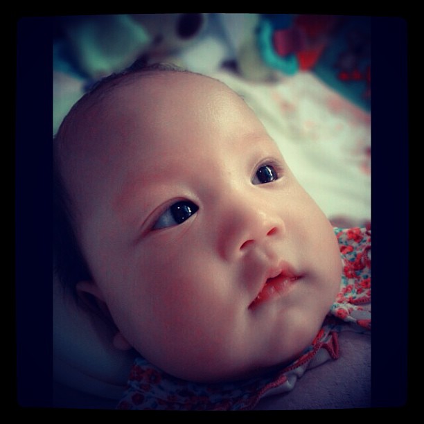 น้องแสนดี อัพเดทภาพ น้องแสนดี ลูกโอ๋ ภัคจีรา น้องแสนดี อัพเดทภาพ น้องแสนดี ลูกโอ๋ ภัคจีรา