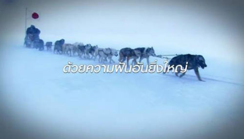 แอนตาร์กติกา