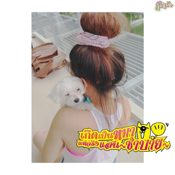 ชมภาพดารา พร้อมคำพูดกวนโอ๊ยโดนใจ ในแอพ ติ๊กเก้อ