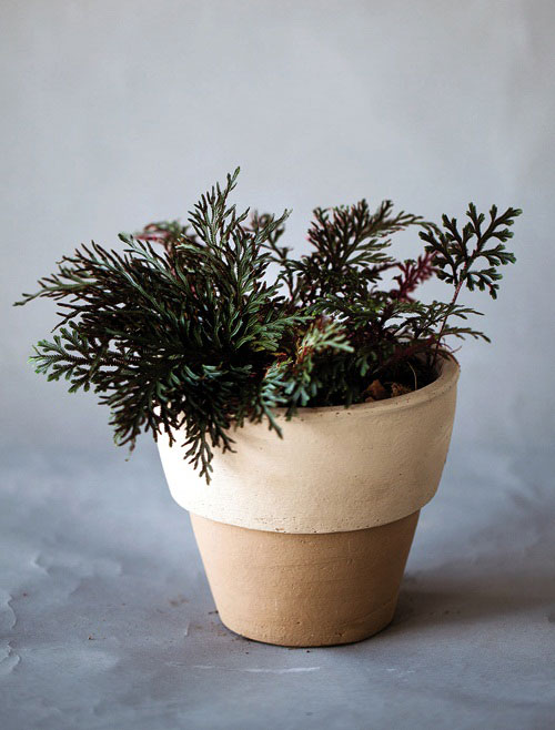 กนกนารี