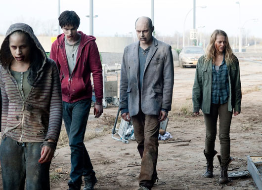 warm bodies