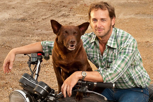 RED DOG