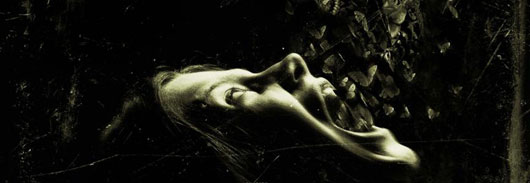 The Possession