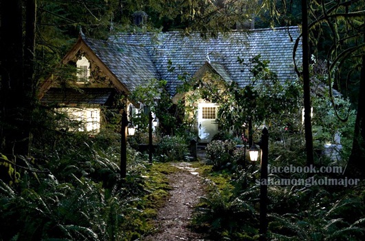 twilight