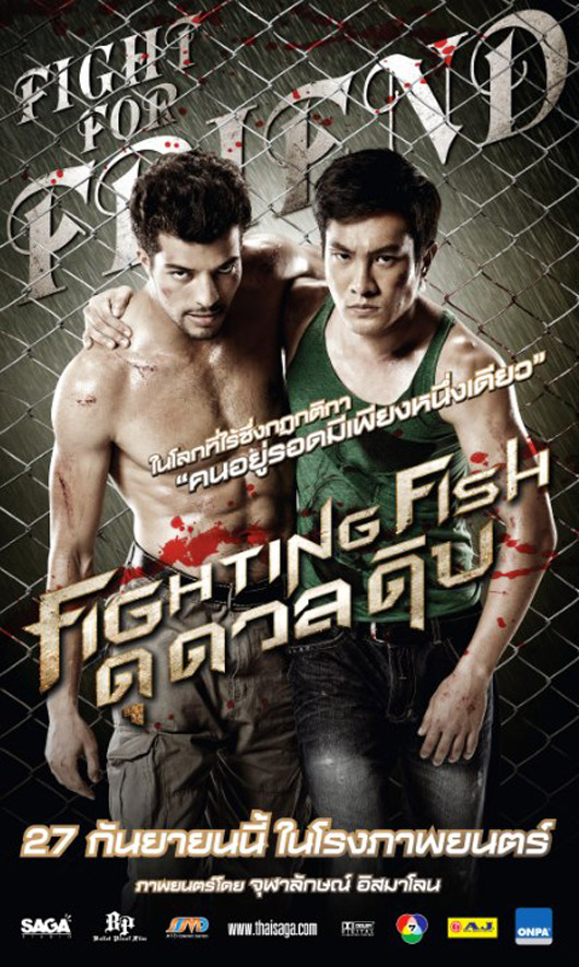 Fighting Fish