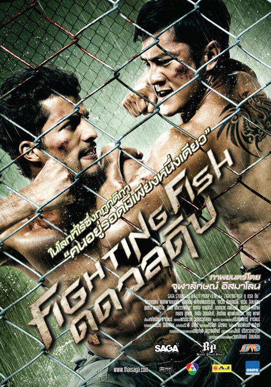 Fighting Fish